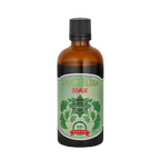 Ginkgo Biloba Extract – Ginkgo Biloba Max (100 ml)